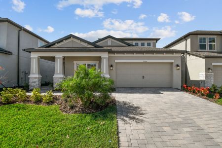 Anderson Snow Estates by M/I Homes in Spring Hill - photo 32 32