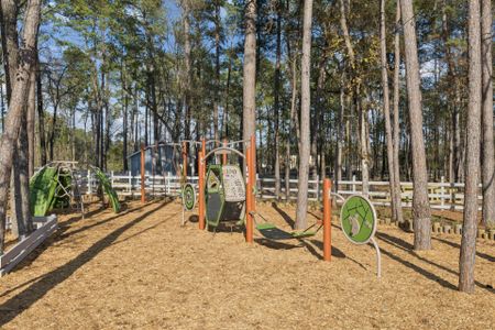 Pulte Homes at Two Step Farm by Pulte Homes in Montgomery - image 15