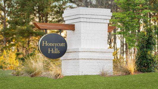 Honeycutt Hills by DRB Homes in Angier - image