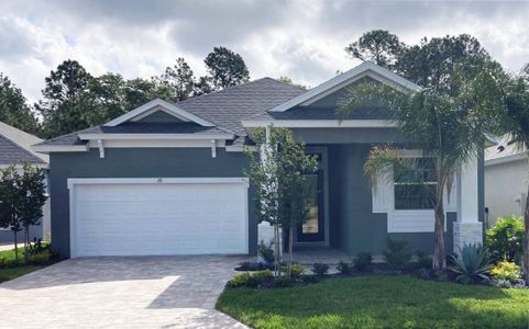 Coastal Gardens at Town Center by Paytas Homes in Palm Coast - photo 8 8