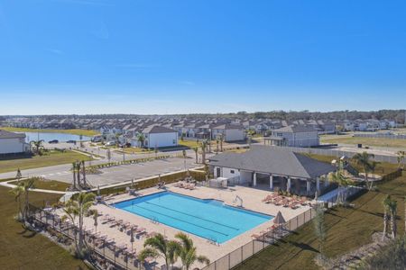 Cobblestone by M/I Homes in Zephyrhills - photo 51 51