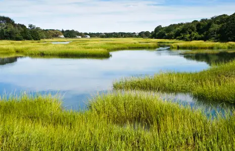 Malind Bluff by Pulte Homes in Bluffton - image