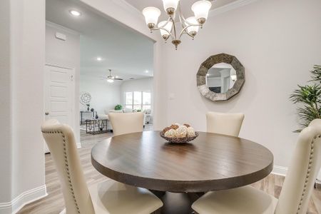 Mallard Point by Altura Homes in Greenville - image 8