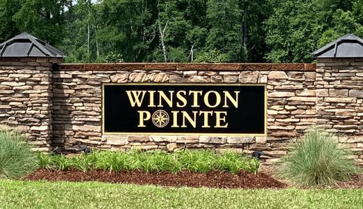 Winston Pointe South by Smith Douglas Homes in Clayton - photo