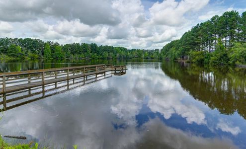 Autumn Pond by Eastwood Homes in Blythewood - image