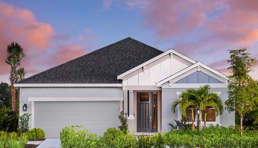 Tiburon by Taylor Morrison in Nokomis - image 11