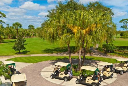 Bent Pine Preserve by GHO Homes in Vero Beach - photo 3 3