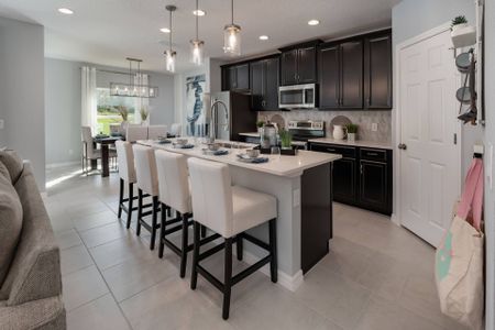 Lake Lincoln by Landsea Homes in Eustis - photo 30 30