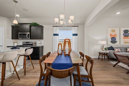 Southern Pointe by D.R. Horton in College Station - image 9