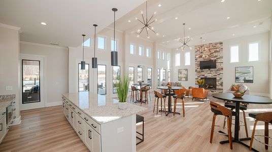 Rosedale: Classic Collection 4