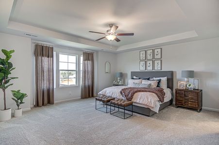 Olivet by Mungo Homes in Franklinton - photo 7 7