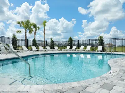Persimmon Place – Garden Series by David Weekley Homes in Wesley Chapel - image