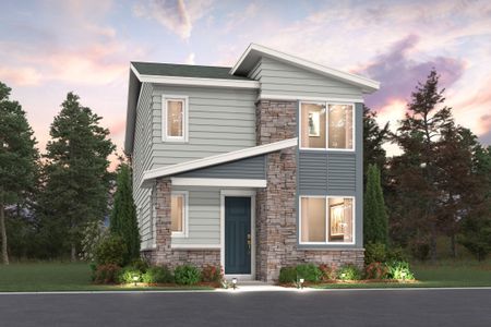 The Boulevard Collection at Painted Prairie 12