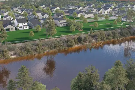 Grande Dunes North Village by Ryan Homes in Longs - image