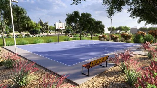 Basketball court shaded by trees