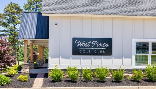 The Reserve At Clock Tower by Stephen Elliott Homes in Douglasville - image 11