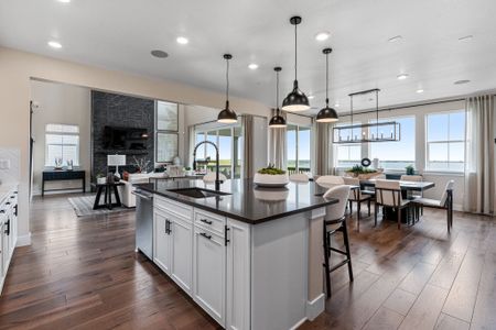 Trailstone Destination Collection by Taylor Morrison in Arvada - photo 108 108