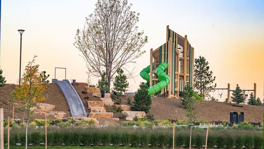 Windler Townhomes by DRB Homes in Aurora - image 9
