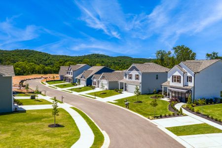 Chestnut Creek Crossing by Smith Douglas Homes in Collegedale - image