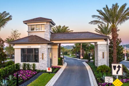 Valencia Ridge by GL Homes in Wesley Chapel - image 4