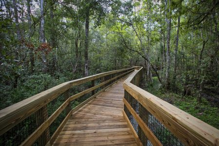 Trailmark Phase 6 by Drees Custom Homes in Saint Augustine - photo 6 6