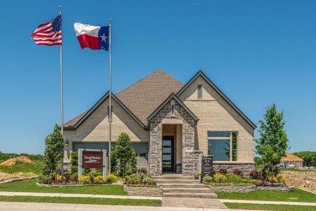 Mantua Point Classics by David Weekley Homes in Van Alstyne - photo 9 9