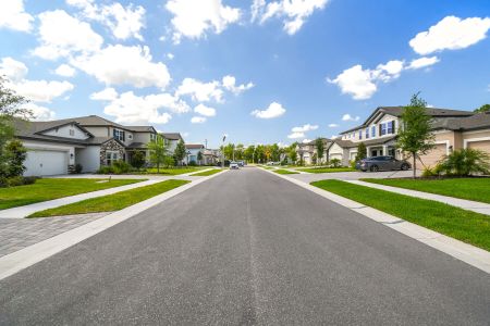 Avalon West by M/I Homes in Spring Hill - photo 4 4