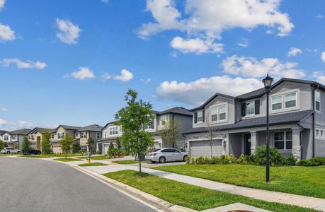 Oakstead Estates by M/I Homes in Land O' Lakes - photo 0