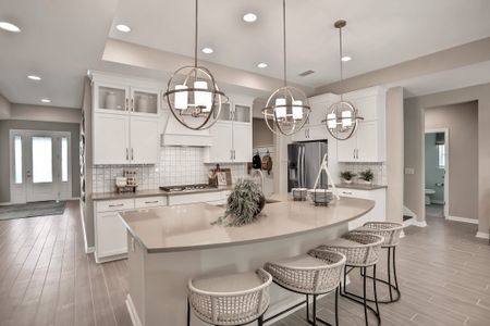 Silver Landing at SilverLeaf by Dream Finders Homes in St. Augustine - image 7
