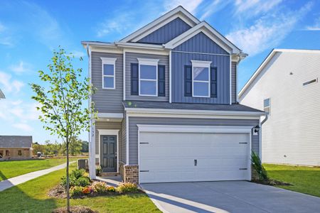 The Andros by Smith Douglas Homes in Dalton - image 9