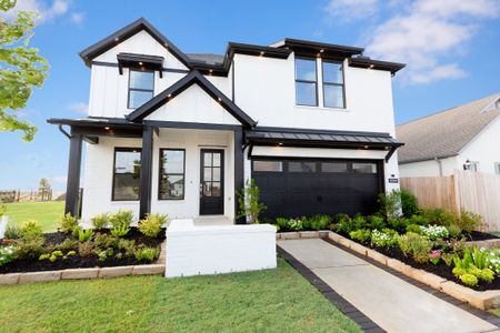 Copia Pines: Premier Collection by Beazer Homes in Montgomery - image