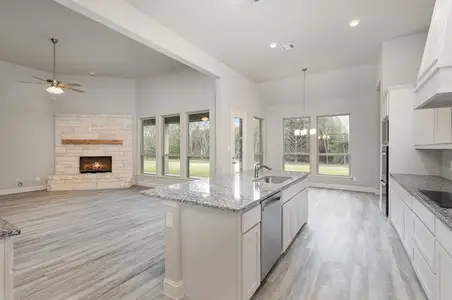 Lynx Hollow Estates by Sumeer Homes in Forney - image 6