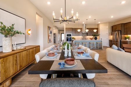 Jacamar at Waterston Central by Tri Pointe Homes in Gilbert - photo 34 34