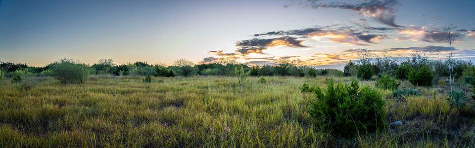 Mayfair by David Weekley Homes in New Braunfels - photo 7 7