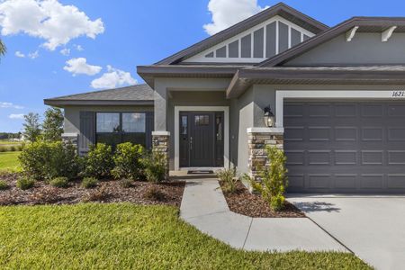 Aviary at Rutland Ranch by Adams Homes in Parrish - photo 11 11