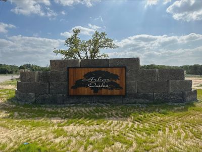 Arbor Oaks by Cheldan Homes in Briar - photo 19 19