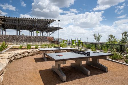 Meridian by Starlight Homes in San Antonio - photo 11 11