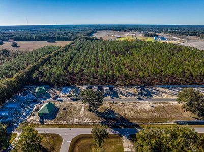 Avalon Woods by Maronda Homes in Newberry - photo 6 6