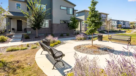 Sugar Mill Village by Tri Pointe Homes in Longmont - image