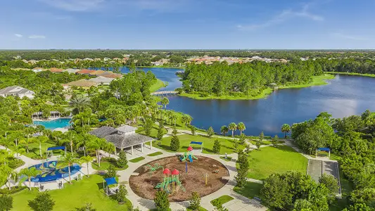 Grand Palm by Neal Communities in Venice - image
