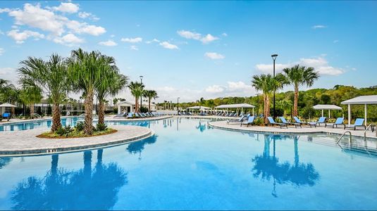 Angeline Active Adult: Active Adult Manors by Lennar in Land O' Lakes - image 13