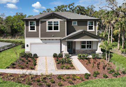 Tea Olive Terrace at the Fairways by William Ryan Homes in Palmetto - photo 15 15