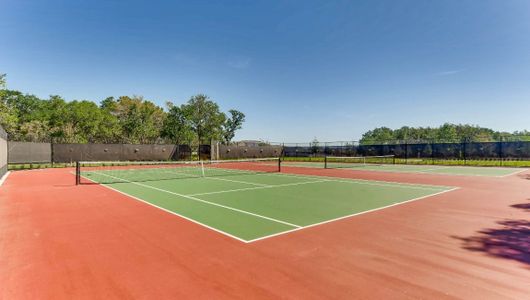 Kindred Townhomes by D.R. Horton in Kissimmee - photo 14 14