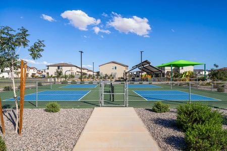 Harvest at Citrus Park by Landsea Homes in Goodyear - image 9