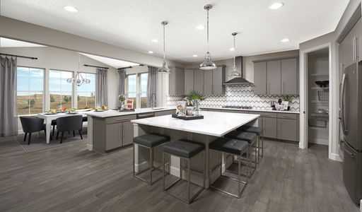 Harvest Crossing by Richmond American Homes in Aurora - photo 31 31