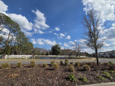 Bradley Pond by Pulte Homes in Jacksonville - photo 2 2