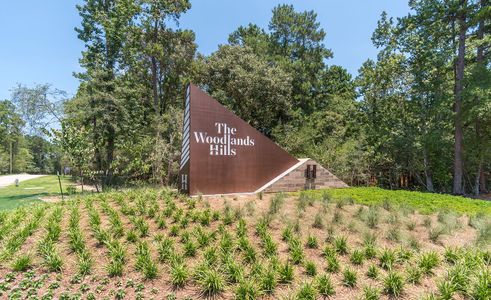 The Woodlands Hills by Brightland Homes in Willis - photo 1 1