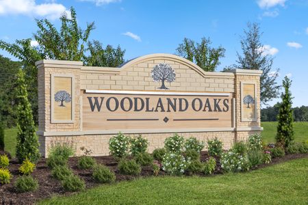 Woodland Oaks II by KB Home in Brooksville - image