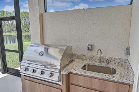 Coastal Gardens at Town Center by Paytas Homes in Palm Coast - image 4