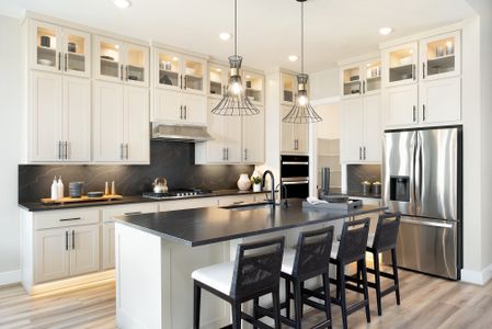 Blackhawk by Scott Felder Homes in Pflugerville - image 8